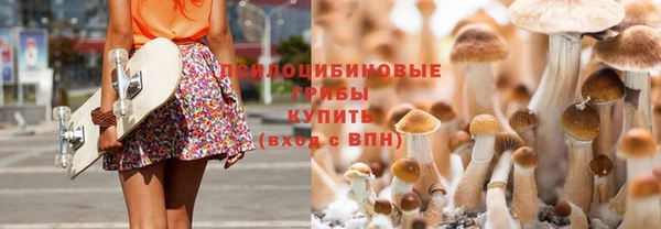 ГАЛЛЮЦИНОГЕННЫЕ ГРИБЫ Кодинск