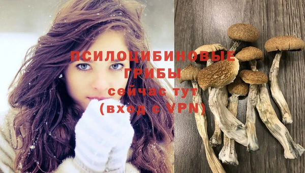 ГАЛЛЮЦИНОГЕННЫЕ ГРИБЫ Кодинск