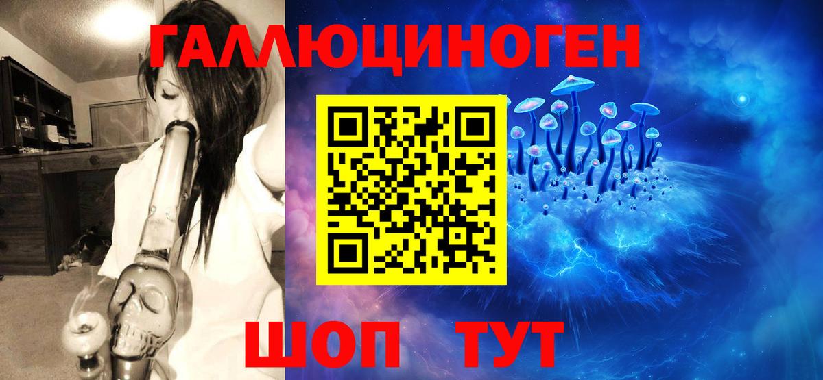 Псилоцибиновые грибы Cubensis Севастополь