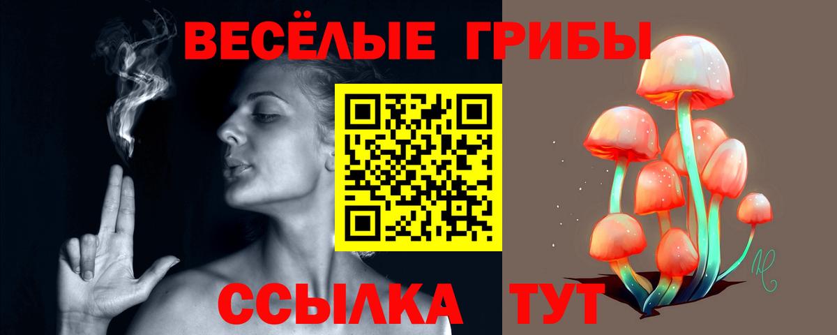 Севастополь  Галлюциногенные грибы MAGIC MUSHROOMS  Вход с VPN 